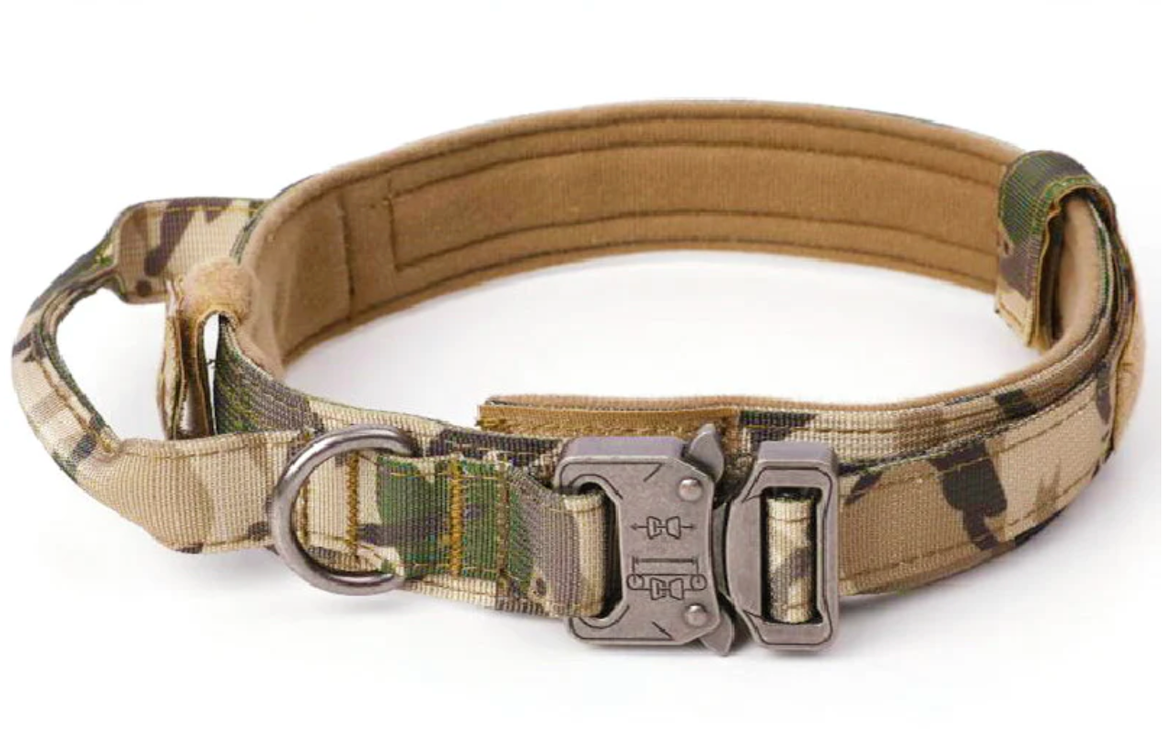 Dog Collar